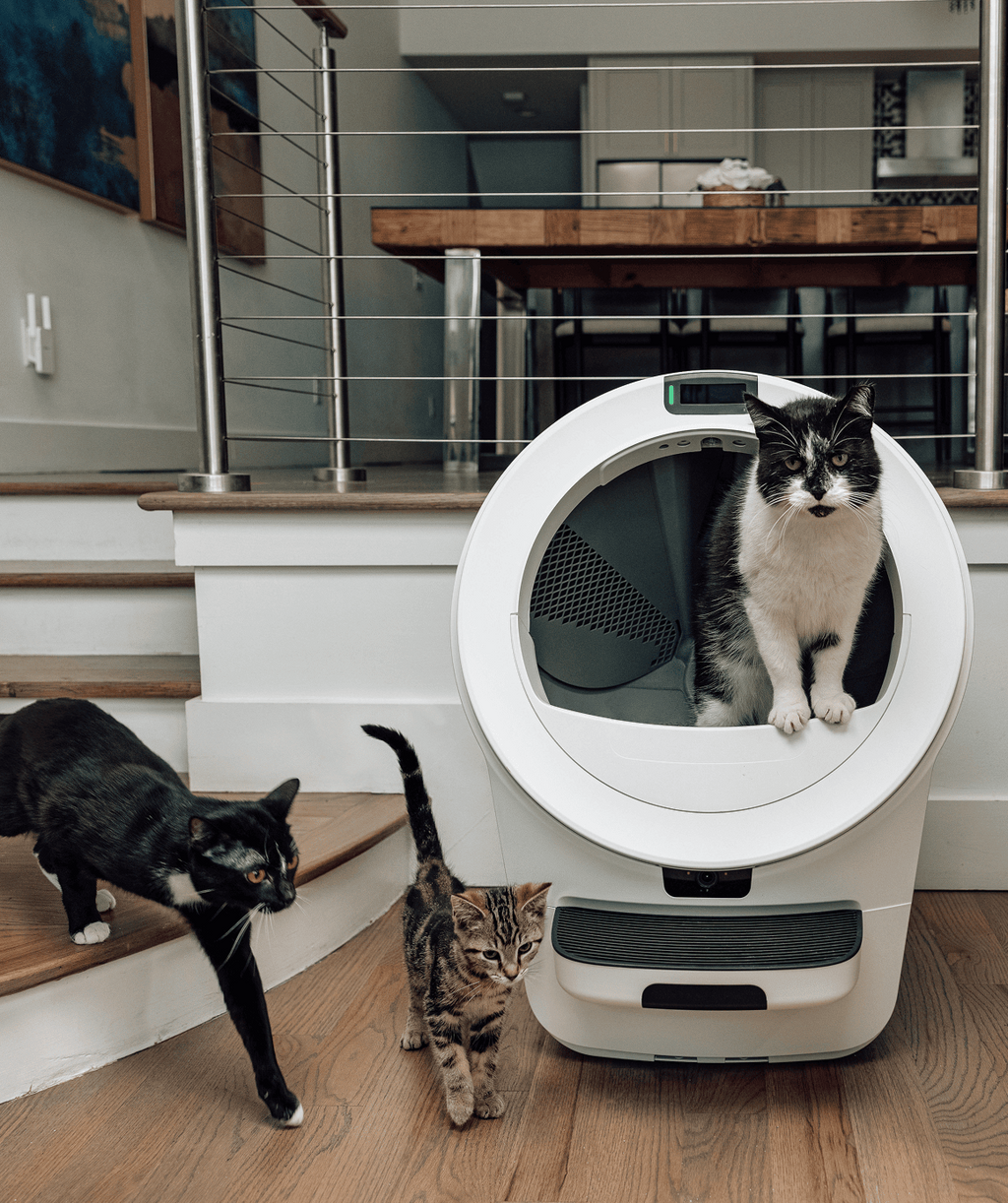 Litter-Robot® 5 Pro