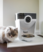 Feeder-Robot Stainless Steel Bowl