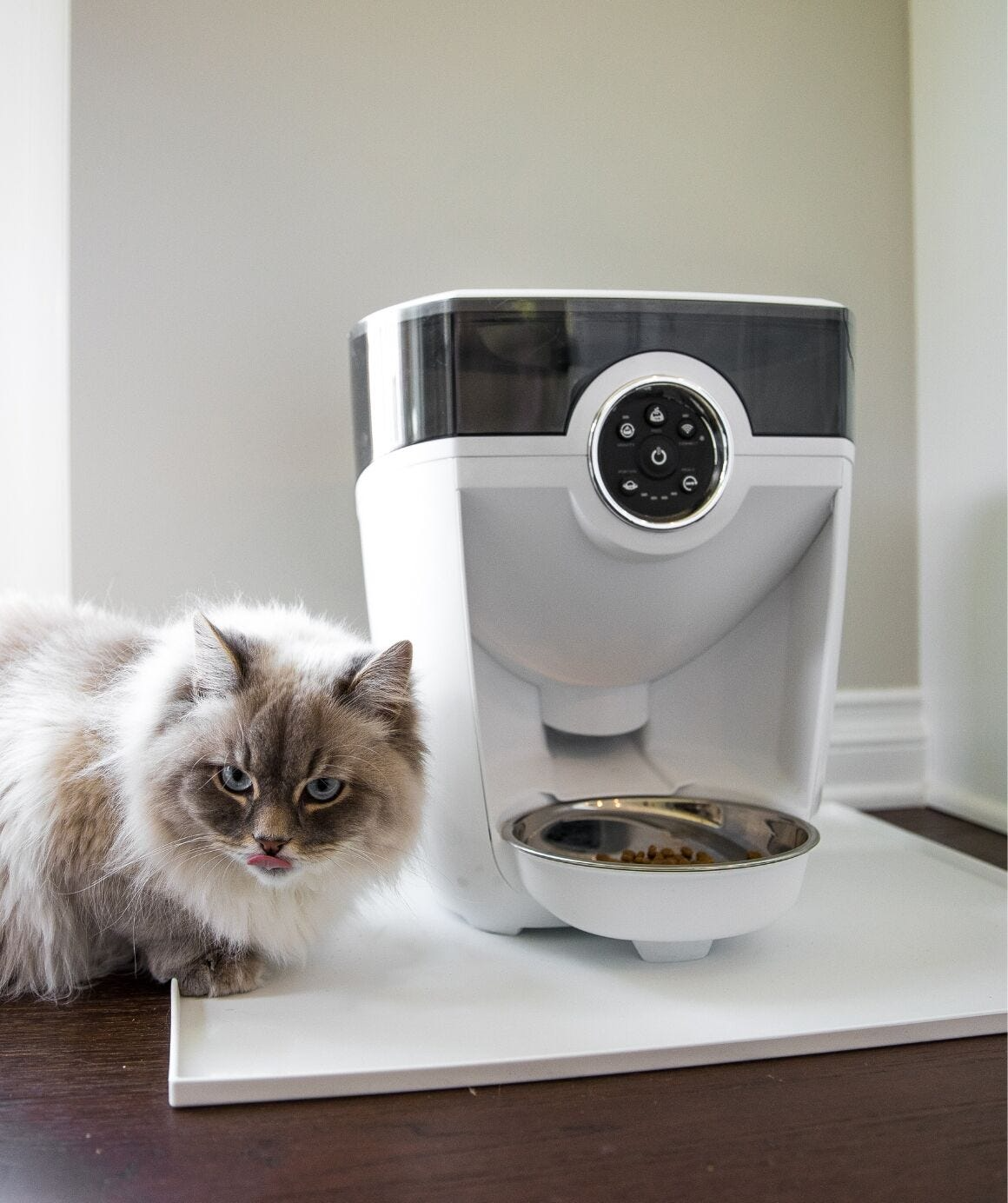 Feeder-Robot Stainless Steel Bowl