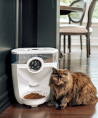 Feeder-Robot Glass Bowl