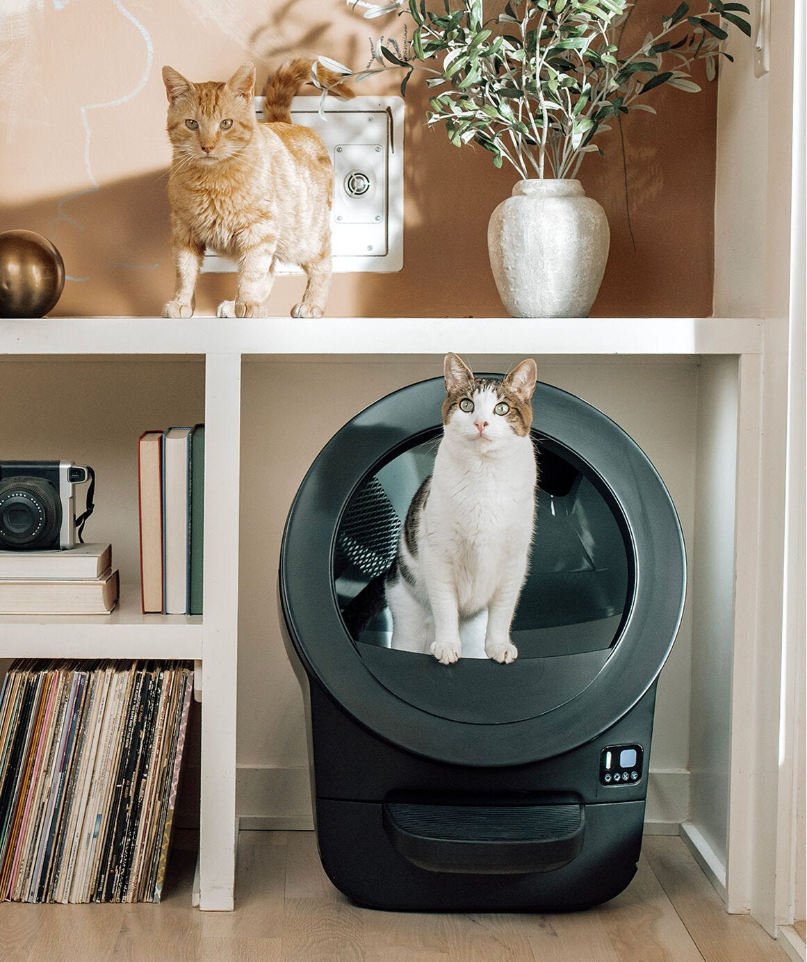 Litter-Robot® EVO Double Bundle