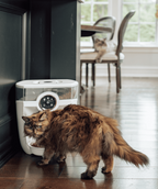 Feeder-Robot Backup Battery