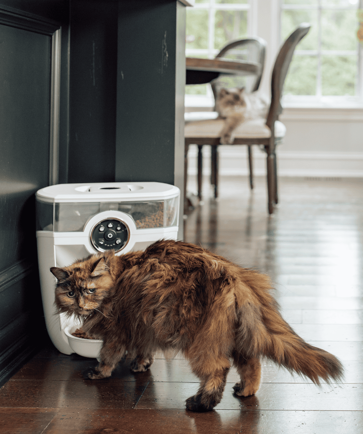 Feeder-Robot Backup Battery