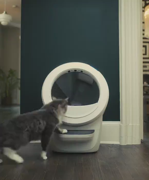 Litter-Robot® 4