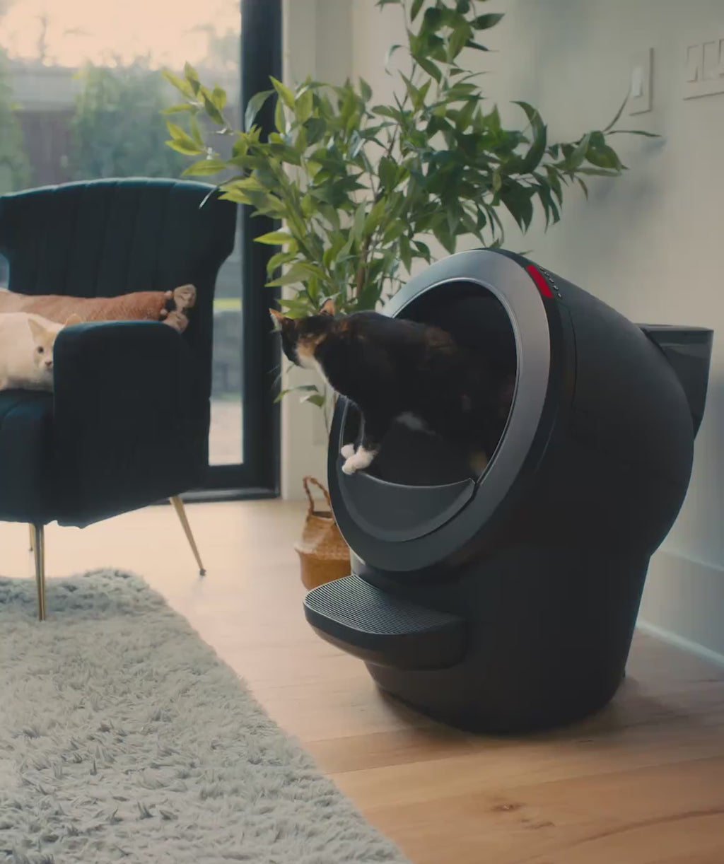 Litter-Robot 4 LitterHopper®